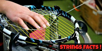 racquetball racquet strings